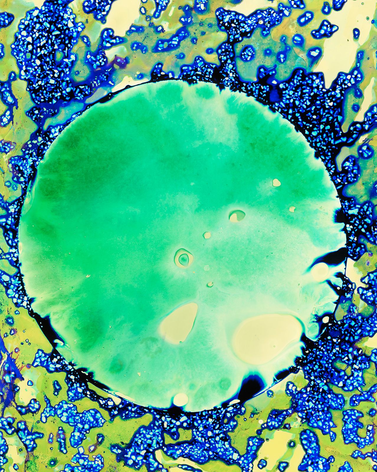 DanielaDroz--LUMEN-03--2025