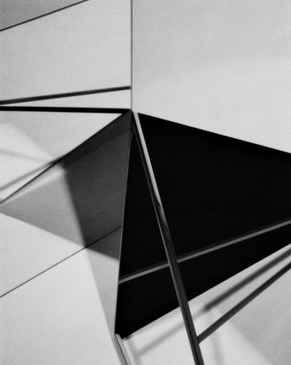 DanielaDroz--Apophenie-Polaroid-003--2016