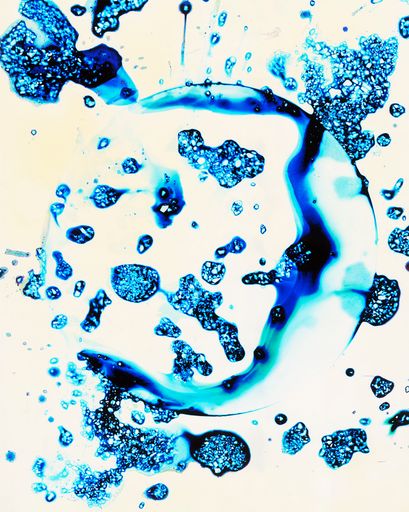 DanielaDroz--LUMEN-04--2025